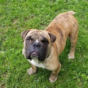 Meet your Posher, James